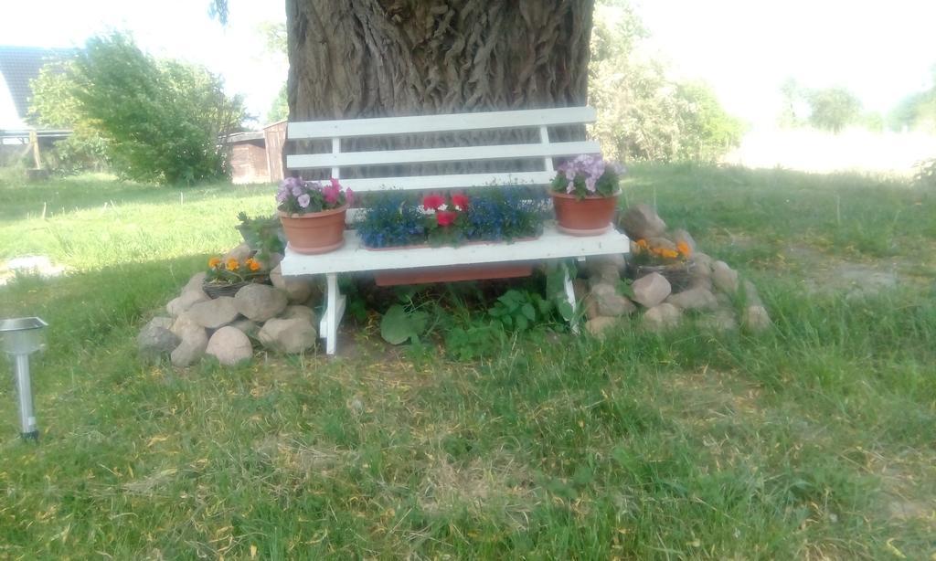 Das Haus Am Teich Gross Grabow Zewnętrze zdjęcie