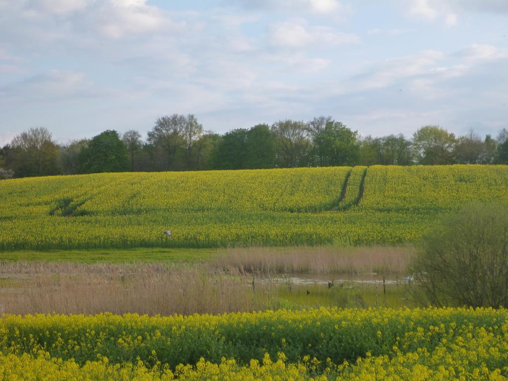 Das Haus Am Teich Gross Grabow Zewnętrze zdjęcie