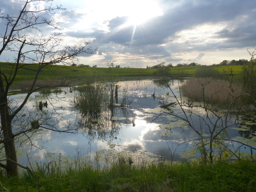 Das Haus Am Teich Gross Grabow Zewnętrze zdjęcie